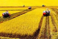 Agri-food and horticulture in Vietnam
